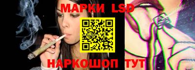 соль ск Новозыбков