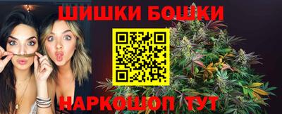 соль ск Новозыбков