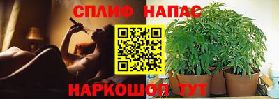 ПСИЛОЦИБИНОВЫЕ ГРИБЫ Новокубанск
