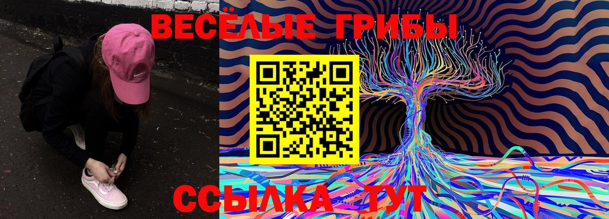 Псилоцибиновые грибы Cubensis Северобайкальск