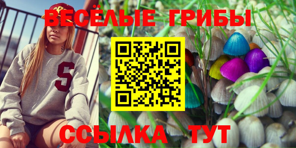 Псилоцибиновые грибы Magic Shrooms  Вход с VPN  Северобайкальск 